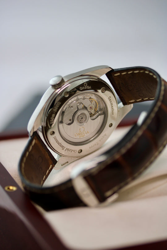 Omega Seamaster Aqua Terra 42,2 mm